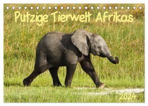 Putzige Tierwelt Afrikas (Tischkalender 2024 DIN A5 quer), CALVENDO Monatskalender von Haase,  Nadine