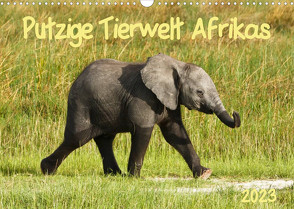 Putzige Tierwelt Afrikas (Wandkalender 2023 DIN A3 quer) von Haase,  Nadine