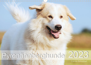 Pyrenäenberghunde (Wandkalender 2023 DIN A3 quer) von Schubbel,  Carola