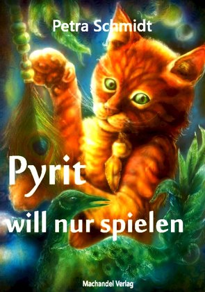 Pyrit will nur spielen von Schmidt,  Petra