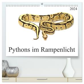 Pythons im Rampenlicht (hochwertiger Premium Wandkalender 2024 DIN A2 quer), Kunstdruck in Hochglanz von SchnelleWelten,  SchnelleWelten
