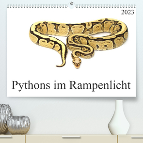 Pythons im Rampenlicht (Premium, hochwertiger DIN A2 Wandkalender 2023, Kunstdruck in Hochglanz) von SchnelleWelten