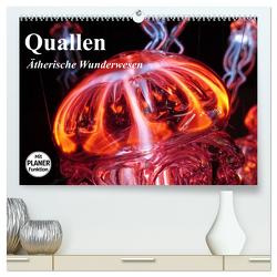 Quallen. Ätherische Wunderwesen (hochwertiger Premium Wandkalender 2024 DIN A2 quer), Kunstdruck in Hochglanz von Stanzer,  Elisabeth
