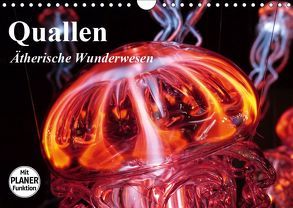 Quallen. Ätherische Wunderwesen (Wandkalender 2019 DIN A4 quer) von Stanzer,  Elisabeth
