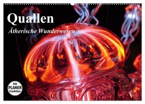 Quallen. Ätherische Wunderwesen (Wandkalender 2024 DIN A2 quer), CALVENDO Monatskalender von Stanzer,  Elisabeth