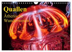 Quallen • Ätherische Wunderwesen (Wandkalender 2024 DIN A4 quer), CALVENDO Monatskalender von Stanzer,  Elisabeth