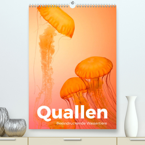 Quallen – Beeindruckende Wassertiere (Premium, hochwertiger DIN A2 Wandkalender 2022, Kunstdruck in Hochglanz) von Scott,  M.