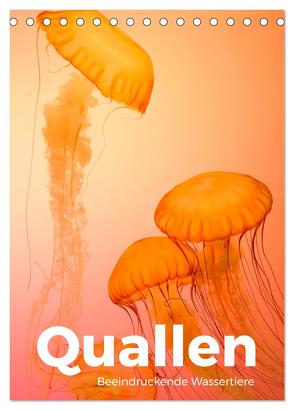 Quallen – Beeindruckende Wassertiere (Tischkalender 2024 DIN A5 hoch), CALVENDO Monatskalender von Scott,  M.