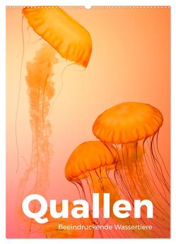 Quallen – Beeindruckende Wassertiere (Wandkalender 2024 DIN A2 hoch), CALVENDO Monatskalender von Scott,  M.