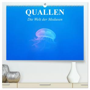 Quallen. Die Welt der Medusen (hochwertiger Premium Wandkalender 2024 DIN A2 quer), Kunstdruck in Hochglanz von Stanzer,  Elisabeth