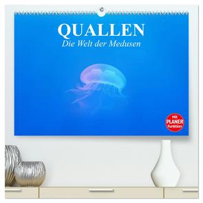 Quallen. Die Welt der Medusen (hochwertiger Premium Wandkalender 2024 DIN A2 quer), Kunstdruck in Hochglanz von Stanzer,  Elisabeth