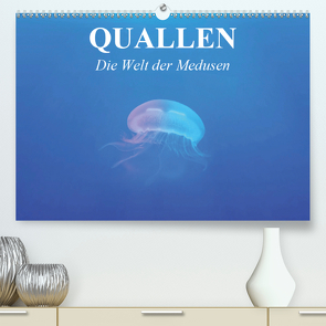 Quallen. Die Welt der Medusen (Premium, hochwertiger DIN A2 Wandkalender 2021, Kunstdruck in Hochglanz) von Stanzer,  Elisabeth