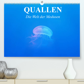 Quallen. Die Welt der Medusen (Premium, hochwertiger DIN A2 Wandkalender 2022, Kunstdruck in Hochglanz) von Stanzer,  Elisabeth