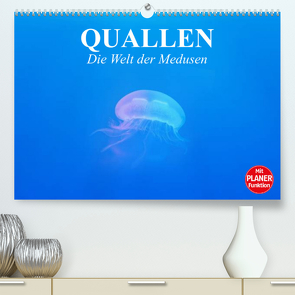 Quallen. Die Welt der Medusen (Premium, hochwertiger DIN A2 Wandkalender 2023, Kunstdruck in Hochglanz) von Stanzer,  Elisabeth