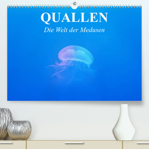 Quallen. Die Welt der Medusen (Premium, hochwertiger DIN A2 Wandkalender 2023, Kunstdruck in Hochglanz) von Stanzer,  Elisabeth