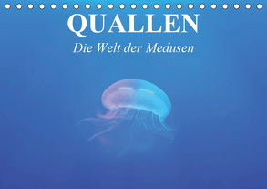 Quallen. Die Welt der Medusen (Tischkalender 2020 DIN A5 quer) von Stanzer,  Elisabeth