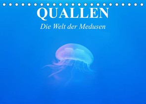 Quallen. Die Welt der Medusen (Tischkalender 2023 DIN A5 quer) von Stanzer,  Elisabeth