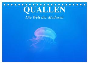 Quallen. Die Welt der Medusen (Tischkalender 2024 DIN A5 quer), CALVENDO Monatskalender von Stanzer,  Elisabeth