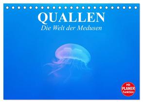 Quallen. Die Welt der Medusen (Tischkalender 2024 DIN A5 quer), CALVENDO Monatskalender von Stanzer,  Elisabeth