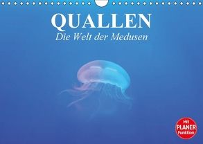 Quallen. Die Welt der Medusen (Wandkalender 2018 DIN A4 quer) von Stanzer,  Elisabeth