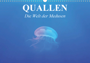 Quallen. Die Welt der Medusen (Wandkalender 2020 DIN A3 quer) von Stanzer,  Elisabeth