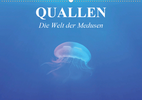 Quallen. Die Welt der Medusen (Wandkalender 2021 DIN A2 quer) von Stanzer,  Elisabeth