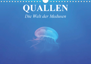 Quallen. Die Welt der Medusen (Wandkalender 2021 DIN A4 quer) von Stanzer,  Elisabeth