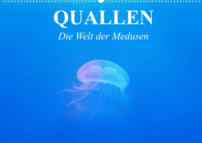 Quallen. Die Welt der Medusen (Wandkalender 2022 DIN A2 quer) von Stanzer,  Elisabeth