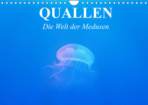 Quallen. Die Welt der Medusen (Wandkalender 2022 DIN A4 quer) von Stanzer,  Elisabeth