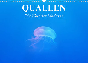 Quallen. Die Welt der Medusen (Wandkalender 2023 DIN A3 quer) von Stanzer,  Elisabeth