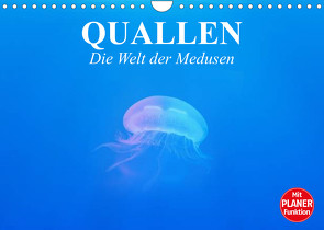 Quallen. Die Welt der Medusen (Wandkalender 2023 DIN A4 quer) von Stanzer,  Elisabeth