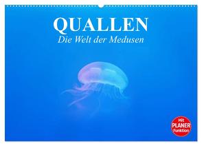 Quallen. Die Welt der Medusen (Wandkalender 2024 DIN A2 quer), CALVENDO Monatskalender von Stanzer,  Elisabeth
