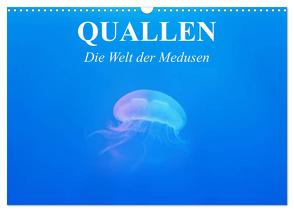 Quallen. Die Welt der Medusen (Wandkalender 2024 DIN A3 quer), CALVENDO Monatskalender von Stanzer,  Elisabeth