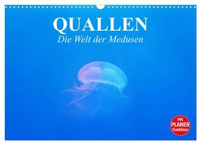 Quallen. Die Welt der Medusen (Wandkalender 2024 DIN A3 quer), CALVENDO Monatskalender von Stanzer,  Elisabeth