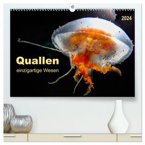 Quallen – einzigartige Wesen (hochwertiger Premium Wandkalender 2024 DIN A2 quer), Kunstdruck in Hochglanz von Roder,  Peter