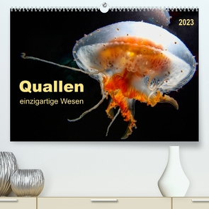 Quallen – einzigartige Wesen (Premium, hochwertiger DIN A2 Wandkalender 2023, Kunstdruck in Hochglanz) von Roder,  Peter