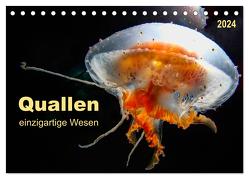 Quallen – einzigartige Wesen (Tischkalender 2024 DIN A5 quer), CALVENDO Monatskalender von Roder,  Peter