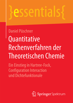Quantitative Rechenverfahren der Theoretischen Chemie von Püschner,  Daniel