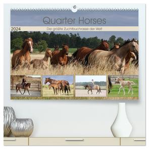 Quarter Horses – Die größte Zuchtbuchrasse der Welt (hochwertiger Premium Wandkalender 2024 DIN A2 quer), Kunstdruck in Hochglanz von Mielewczyk,  B.