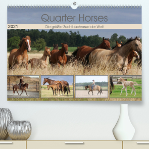 Quarter Horses – Die größte Zuchtbuchrasse der Welt (Premium, hochwertiger DIN A2 Wandkalender 2021, Kunstdruck in Hochglanz) von Mielewczyk,  B.