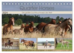 Quarter Horses – Die größte Zuchtbuchrasse der Welt (Tischkalender 2024 DIN A5 quer), CALVENDO Monatskalender von Mielewczyk,  B.