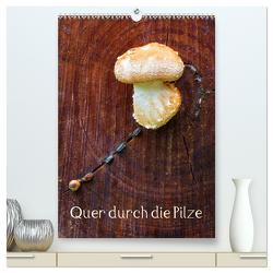 Quer durch die Pilze (hochwertiger Premium Wandkalender 2024 DIN A2 hoch), Kunstdruck in Hochglanz von Stenner,  Clemens