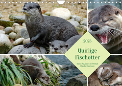 Quirlige Fischotter (Wandkalender 2023 DIN A4 quer) von Kleemann,  Claudia