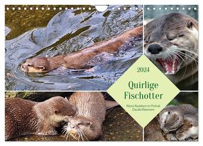 Quirlige Fischotter (Wandkalender 2024 DIN A4 quer), CALVENDO Monatskalender von Kleemann,  Claudia