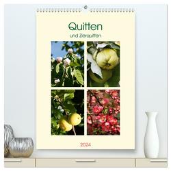 Quitten und Zierquitten (hochwertiger Premium Wandkalender 2024 DIN A2 hoch), Kunstdruck in Hochglanz von Kruse,  Gisela