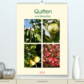 Quitten und Zierquitten (Premium, hochwertiger DIN A2 Wandkalender 2022, Kunstdruck in Hochglanz) von Kruse,  Gisela