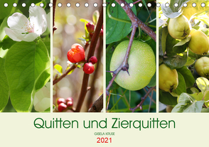 Quitten und Zierquitten (Tischkalender 2021 DIN A5 quer) von Kruse,  Gisela