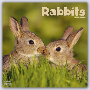 Rabbits – Kaninchen 2023 – 16-Monatskalender