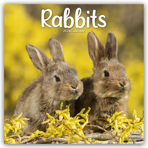 Rabbits – Kaninchen 2024 – 16-Monatskalender