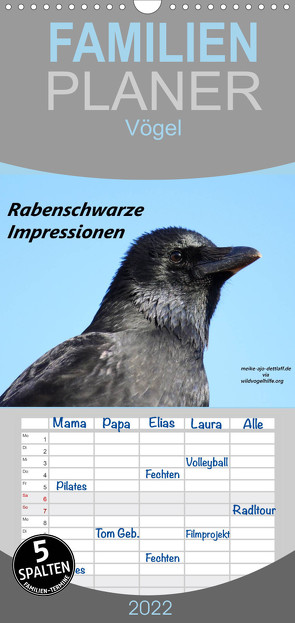 Familienplaner Rabenschwarze Impressionen – meike-ajo-dettlaff.de via wildvogelhlfe.org (Wandkalender 2022 , 21 cm x 45 cm, hoch) von AJo. Dettlaff,  Meike